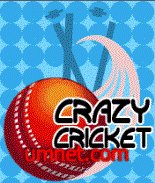 game pic for Crazy cricket